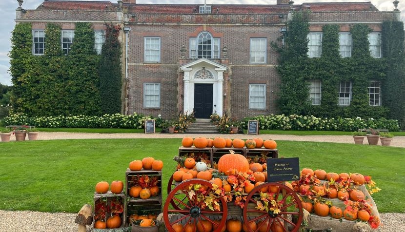 HInton Ampner - pumpkin cart in front of house - National Trust, Paul Gallivan (1)